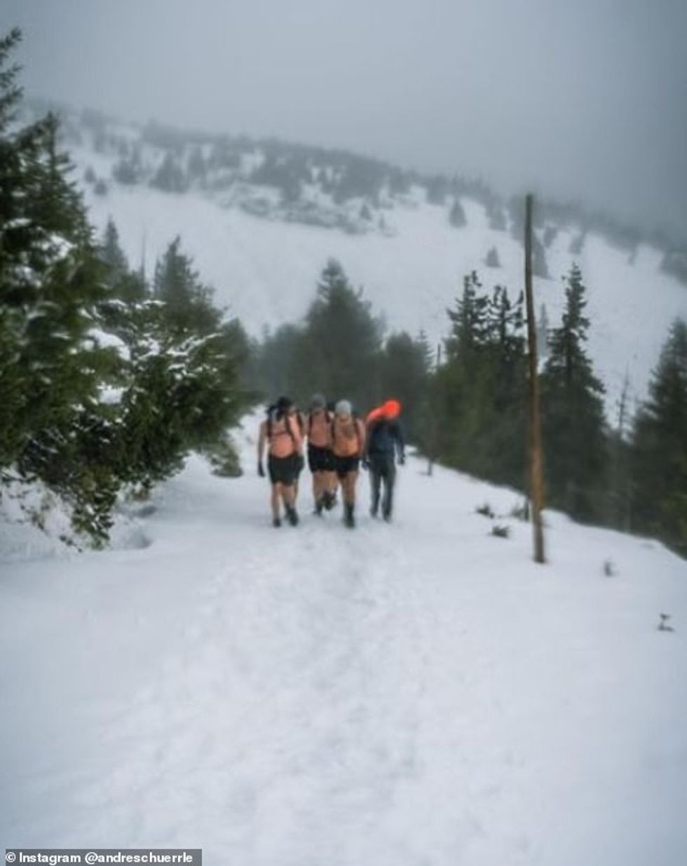 Gjermani zbuloi se temperaturat ranë deri në minus 19 gradë celsius