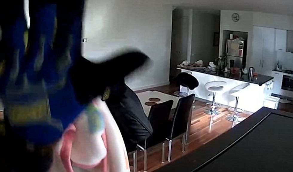 Hajni ecte zvarrë që të fshihet nga kamerat e sigurisë por u tradhetua rastesisht foto 2