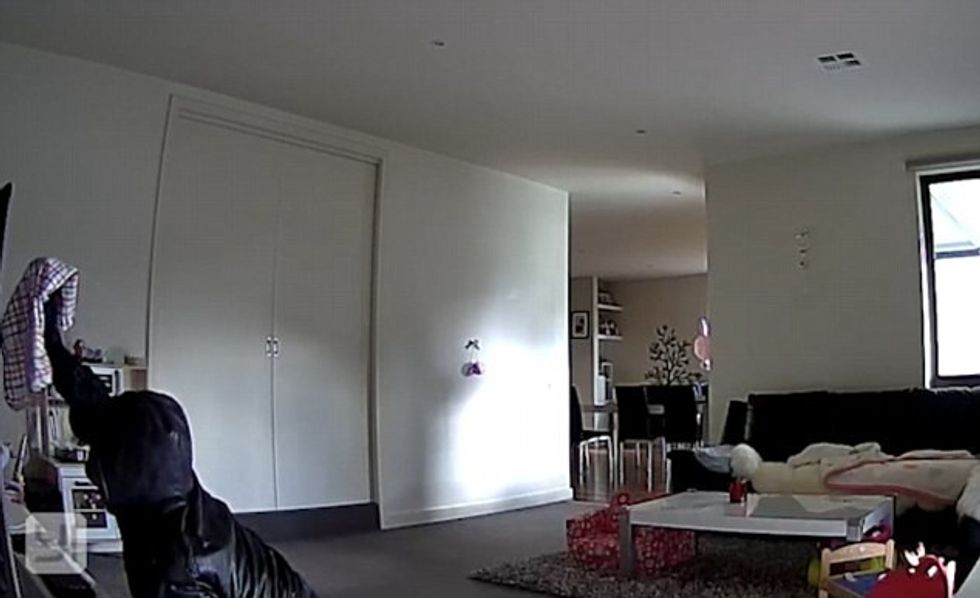 Hajni ecte zvarrë që të fshihet nga kamerat e sigurisë por u tradhetua rastesisht foto 4