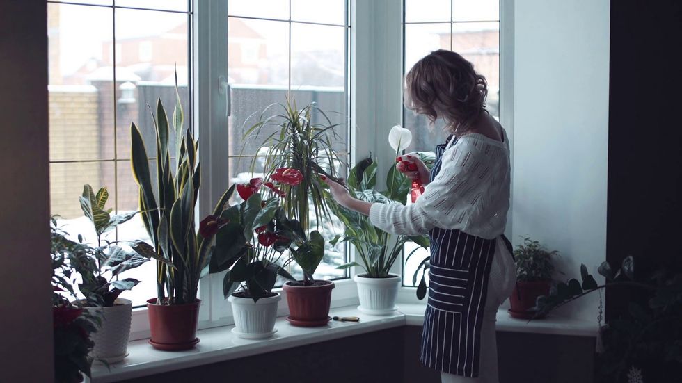 half body portrait of young