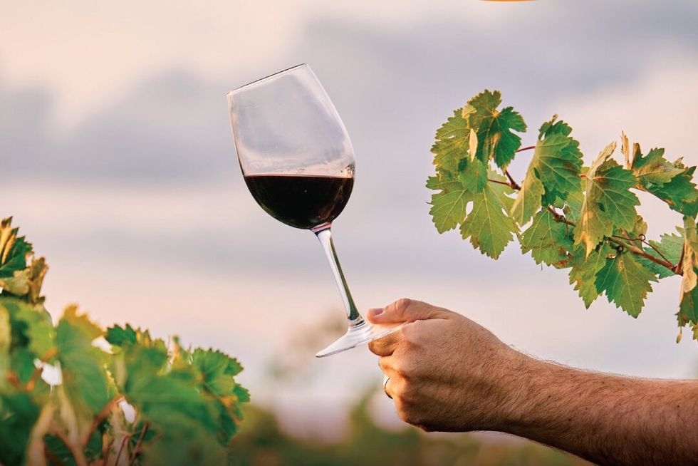 hardh13 e1755285067916