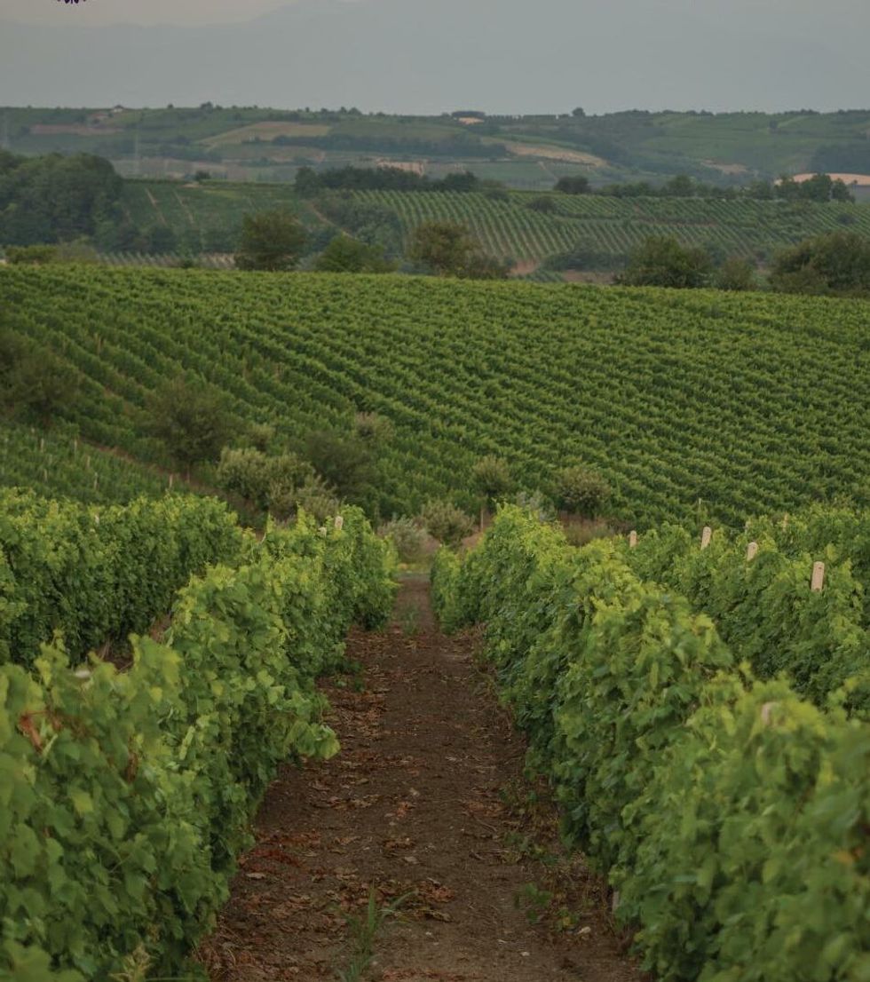 hardh7 e1755284685288