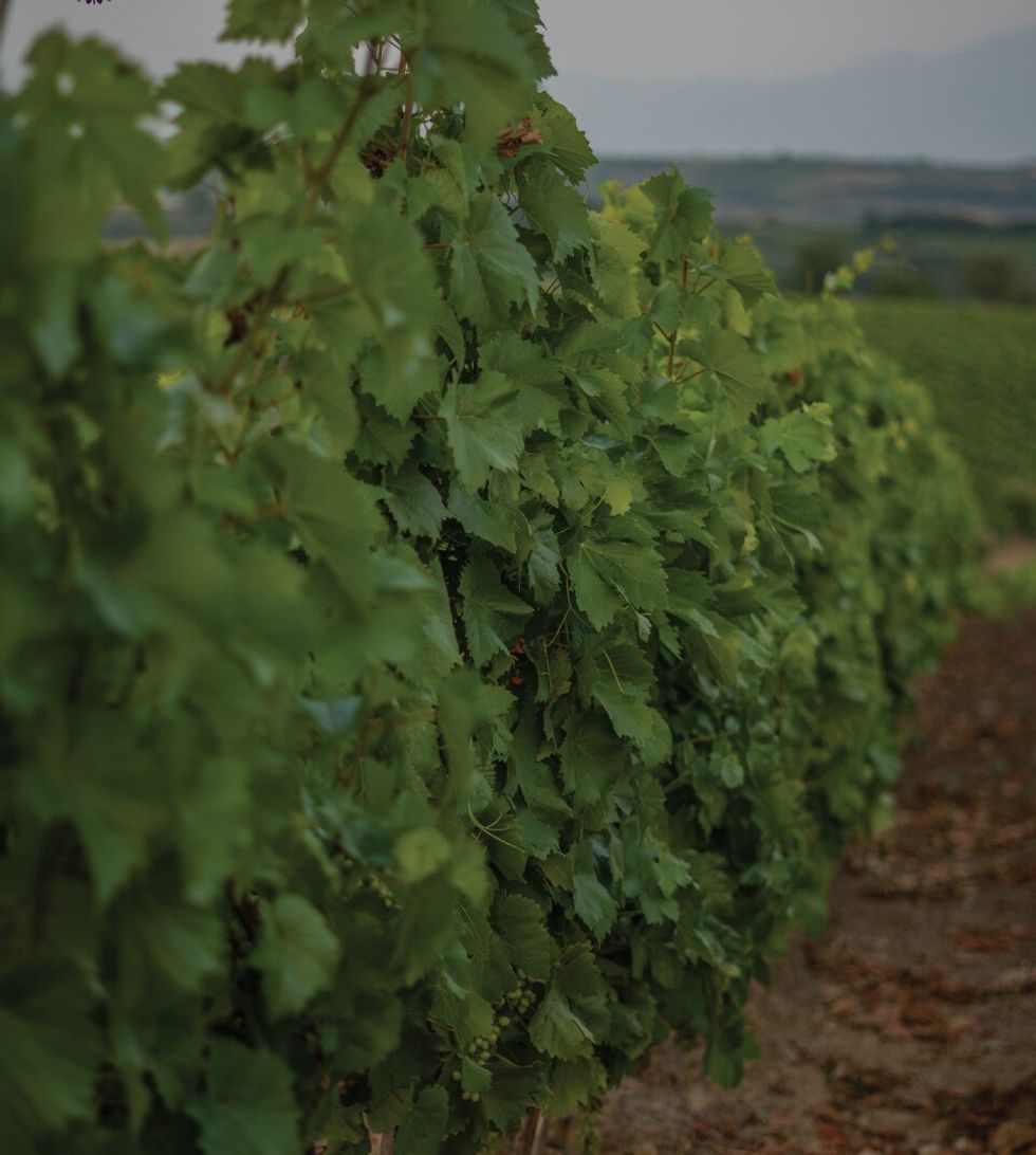 hardh9 e1755285035102