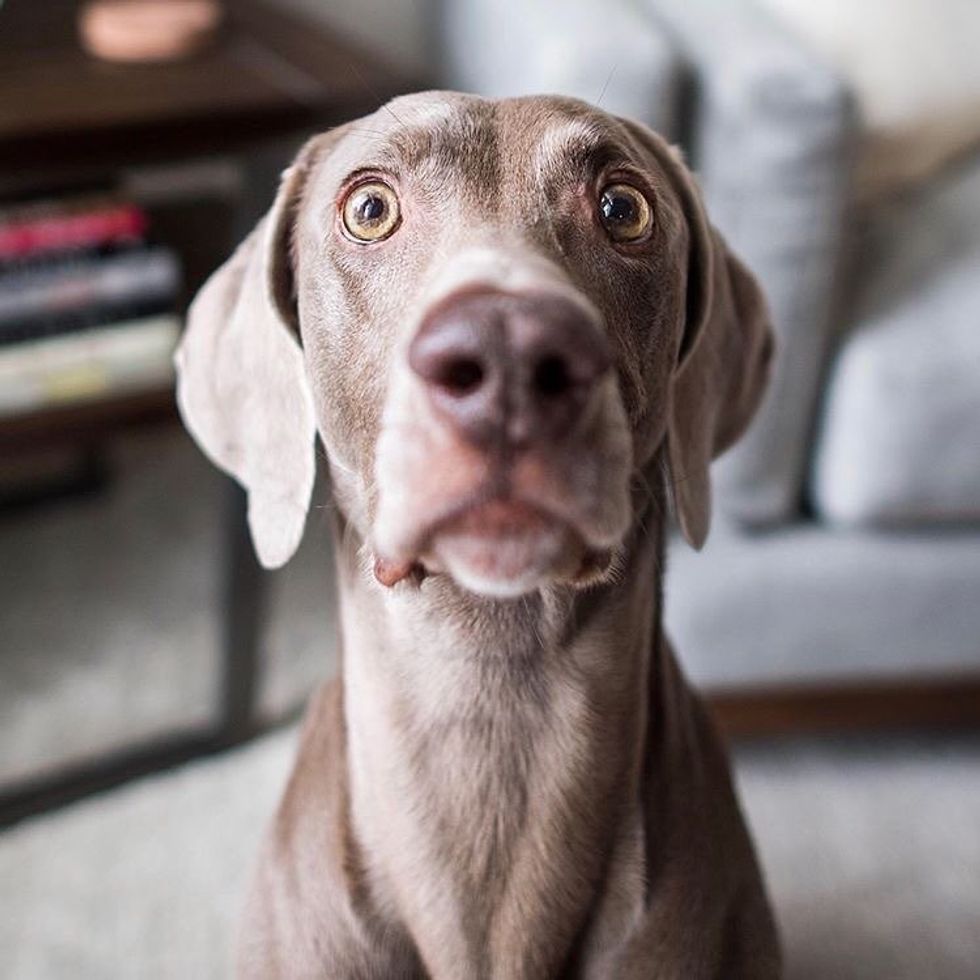 @harlowandsage anxiety