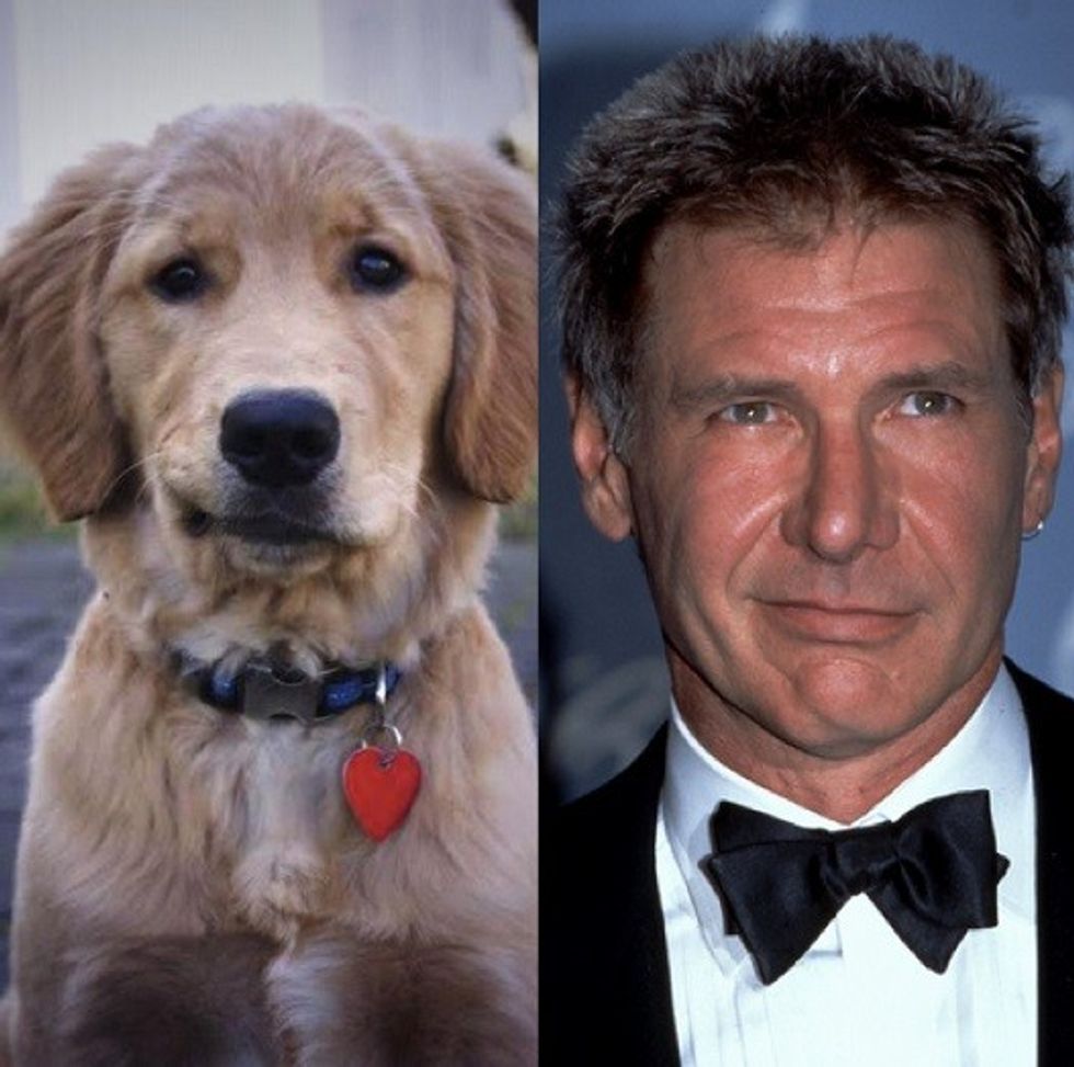 HarrisonFord