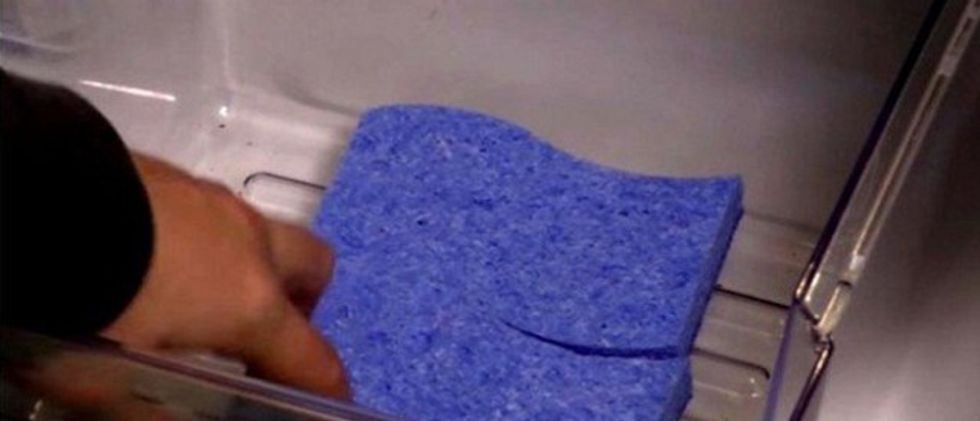 he-put-3-sponges-on-the-bottom-of-the-refrigerator-as-soon-as-you-see-why-youll-do-the-same-video
