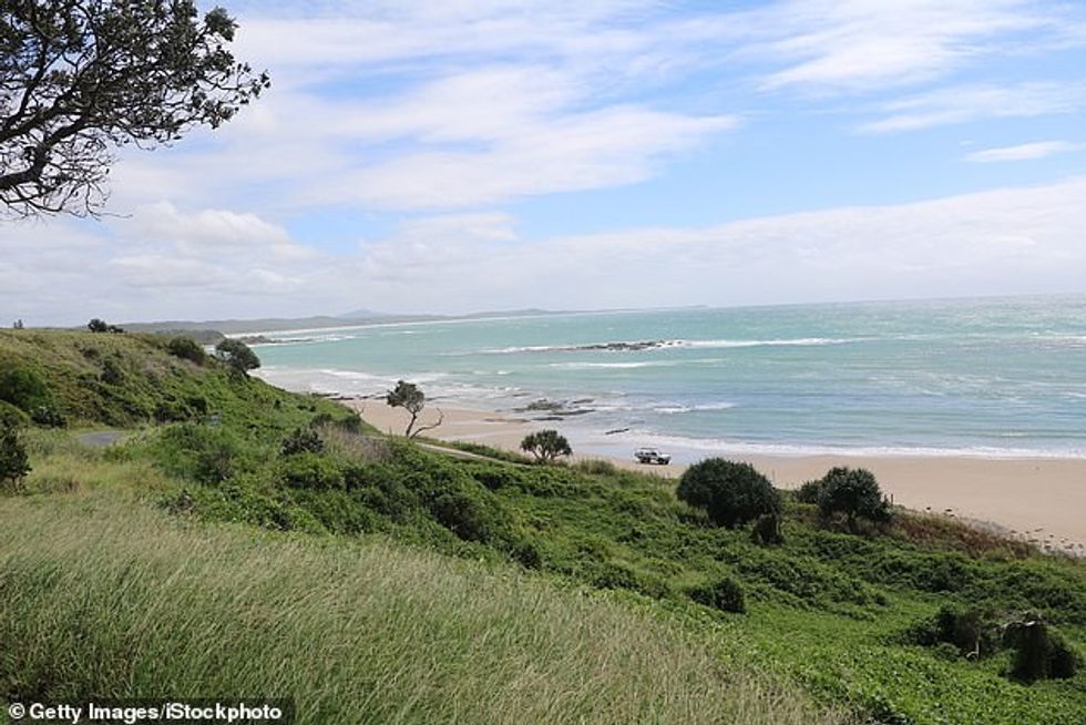 He suffered serious leg injuries and despite the best efforts by emergency services to revive him, he died at the scene (stock image of the hills off the shore of Wooli Beach)