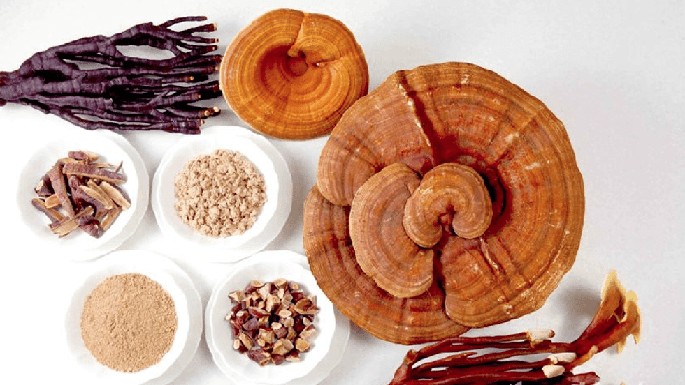 Health Benefits of Reishi Mushrooms by GreenBlender 1