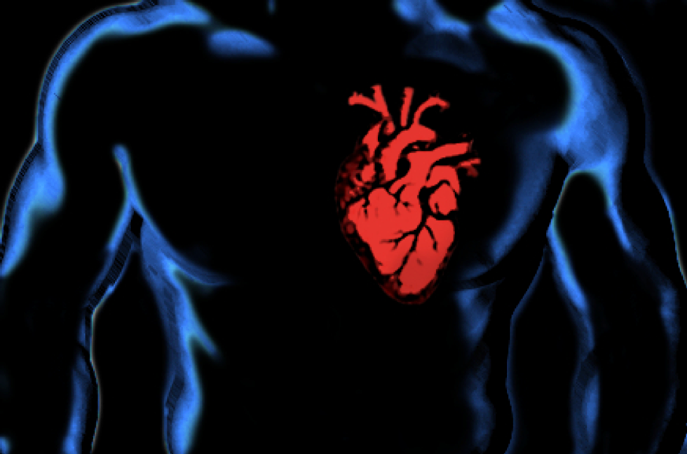 Heart and Testosterone