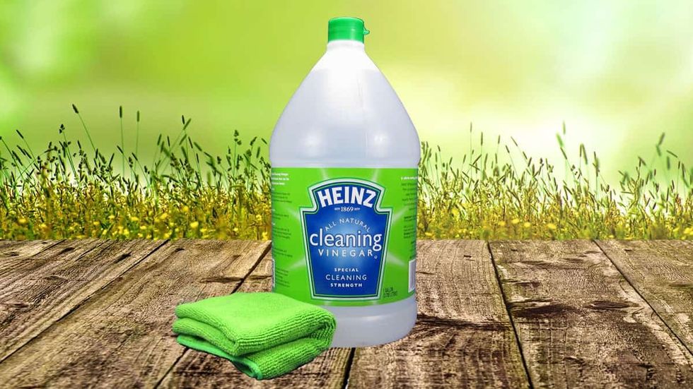 heinz cleaning vinegar gallon