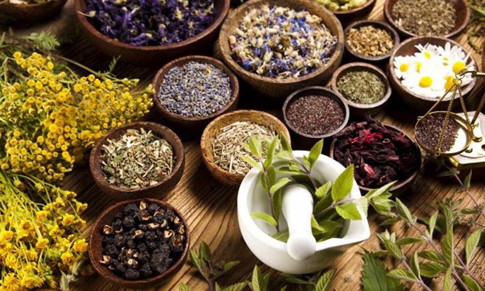 Herbal Medicine Market