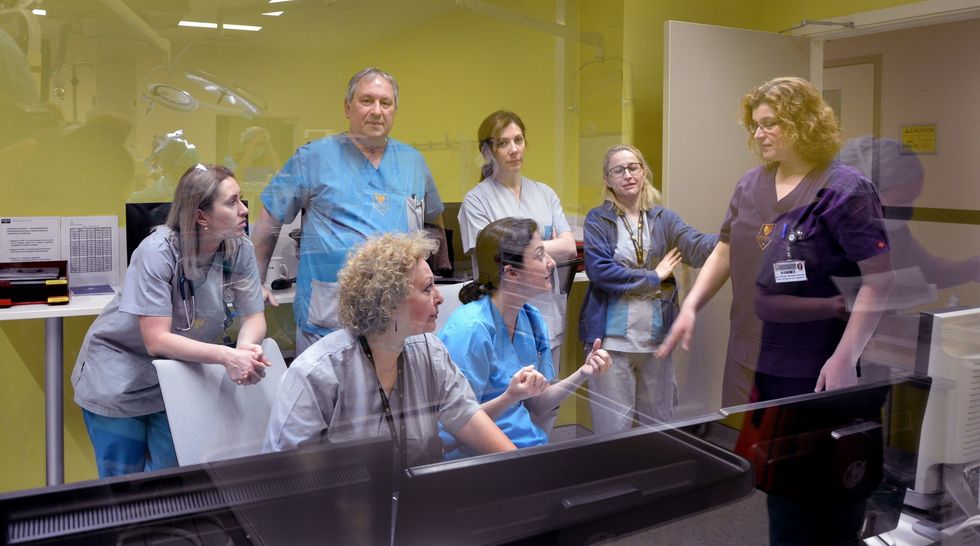 hibrid bebe cadik 8233 resize