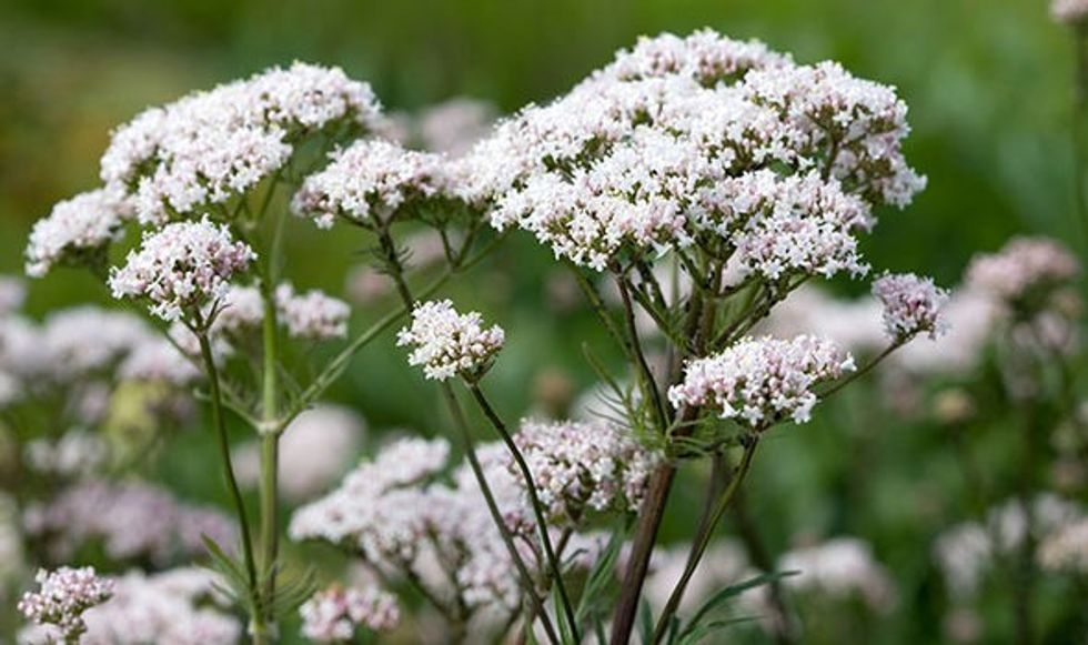 high blood pressure diet hypertension symptoms uk 1421699