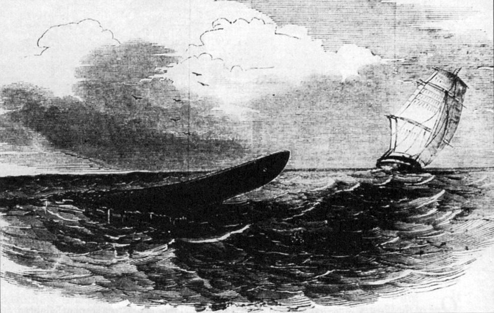 HMS_Plumper_sea_serpent_1848