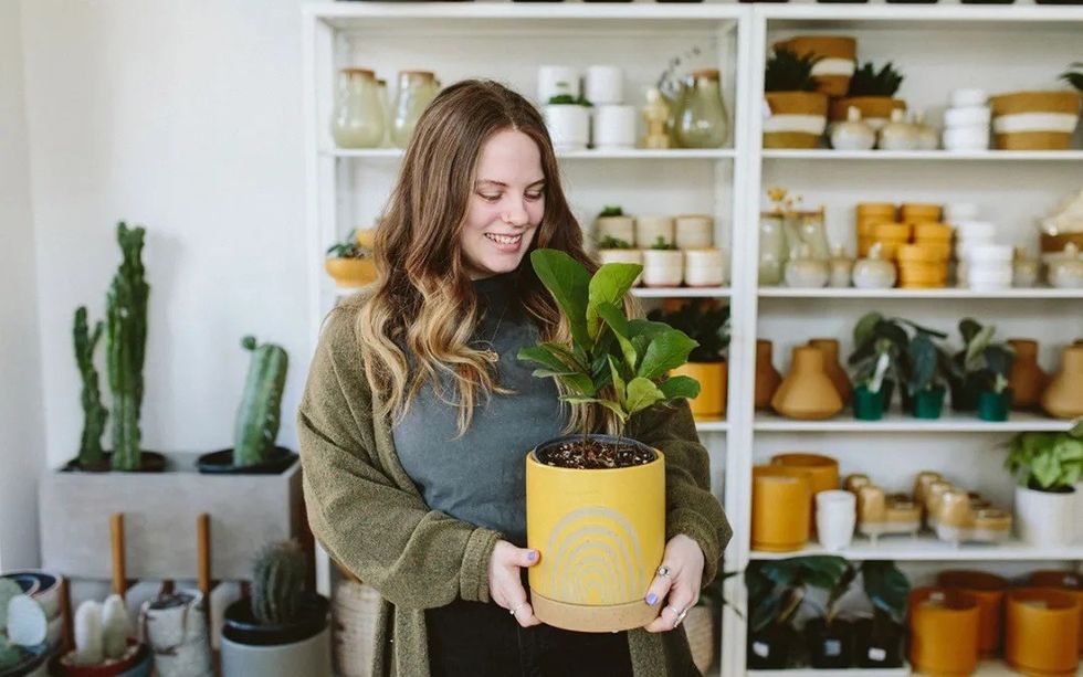 houseplant care tips vacation