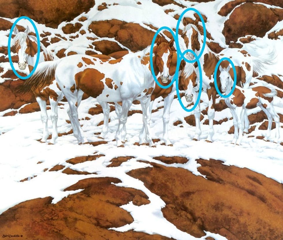 how many horses do you see 2