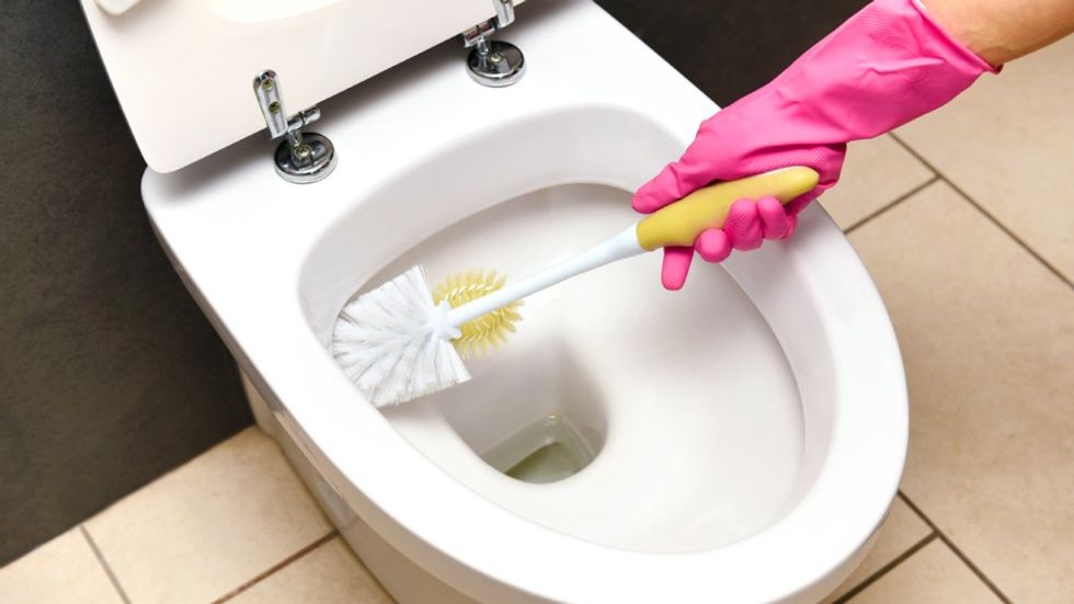 how to get rid of toilet mold