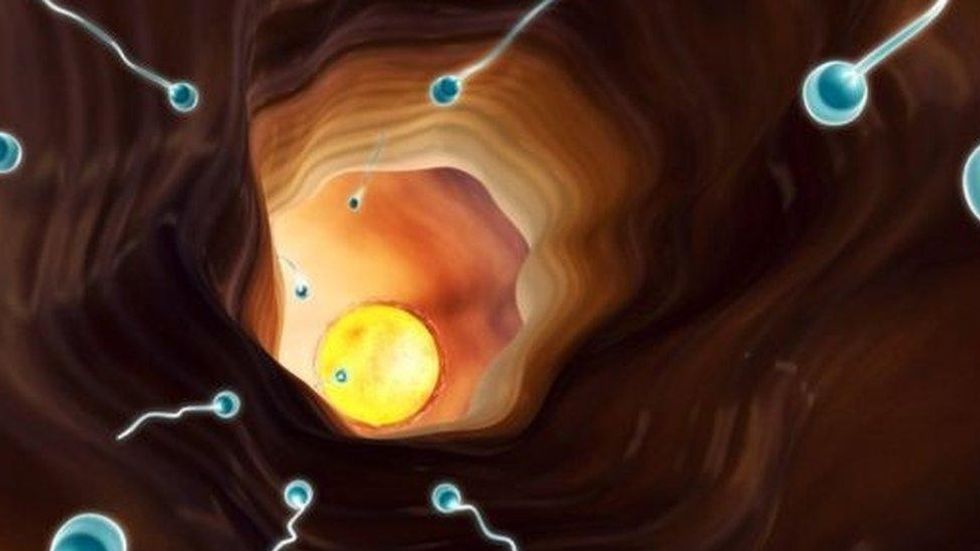 how to increase sperm count