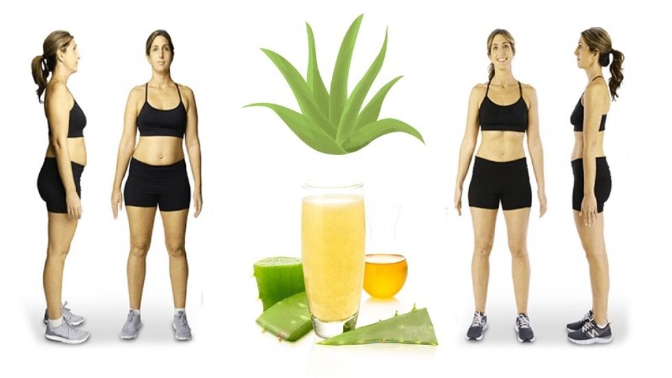How to Make Aloe Vera Juice at Home Aloe Vera juice Benefits for Weight Loss Aloe Vera Juice Recipe HealthPedia