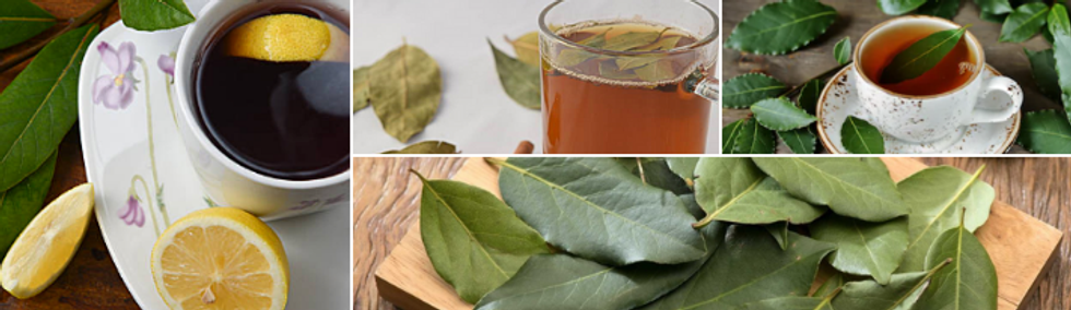 how to make bay leaf tea collage template