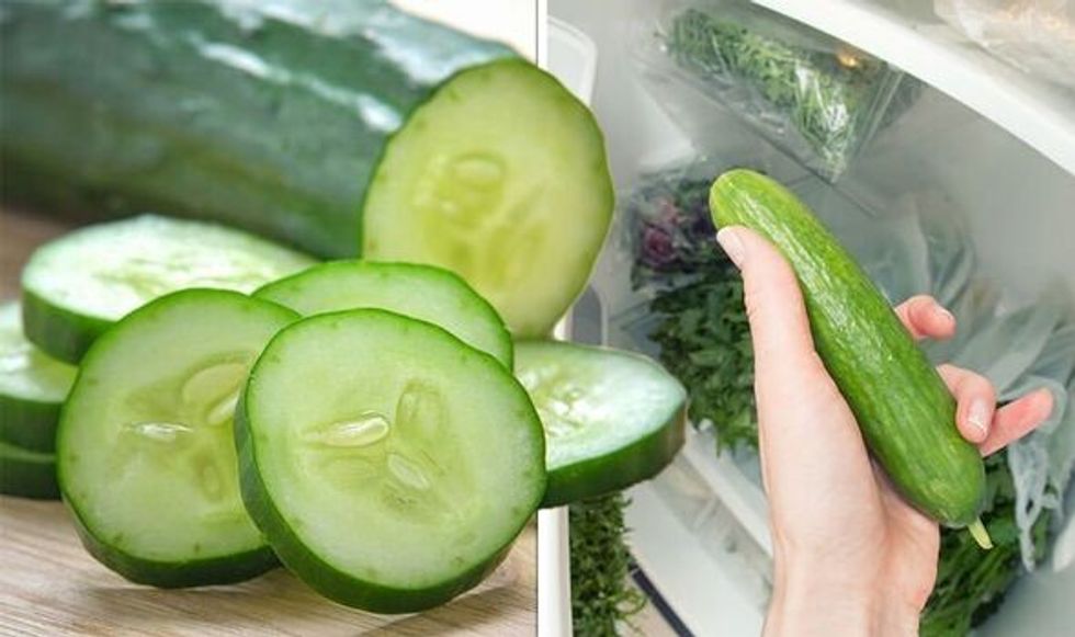 How to Store Cucumbers to Last for Weeks 1 1