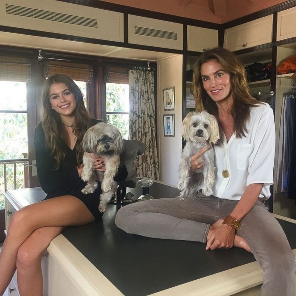 ht_Cindy_crawford_daughter_dog_mm_150624__1600