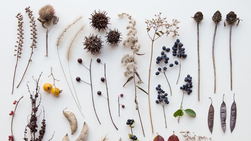 http cdn.cnn .com cnnnext dam assets 15010