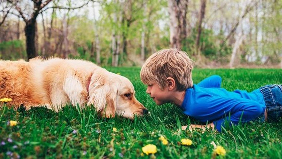 https prod.static9.net .au media Network Images 2017 09 15 11 04 1509 bravecto 9mums