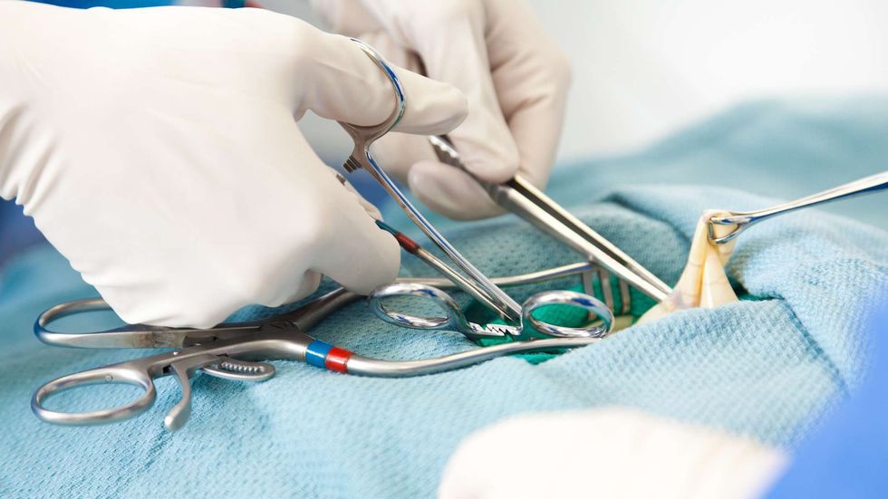 httpsimages.mentalfloss.comsitesdefaultfilesstylesmf image publicistock 155372330