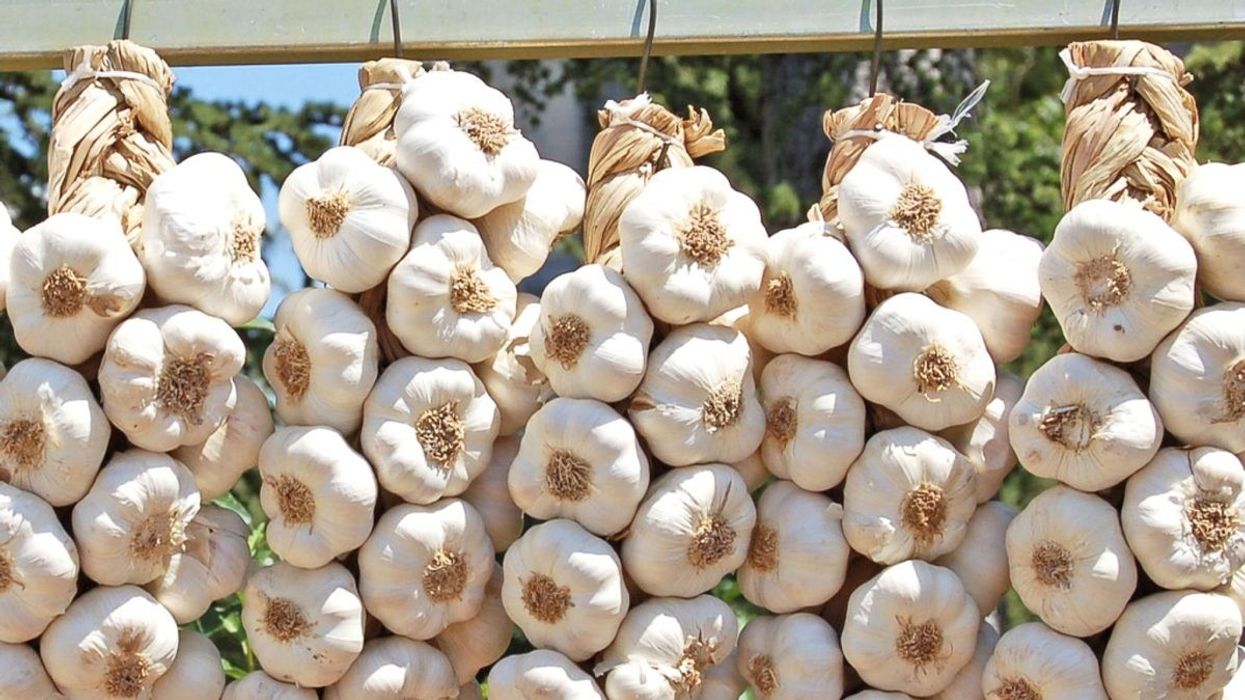 "Mbi 60 mijë euro hudhra", Kosova shpenzoi gati 900 milionë euro për mall kinez