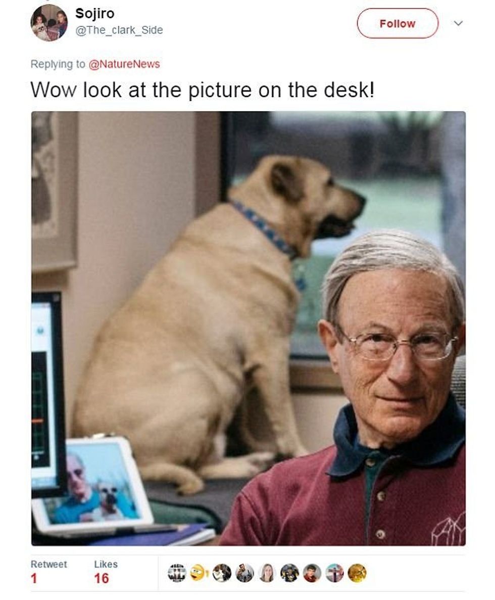 Hulumtuesi tregon studimin për detektimin e tërmeteve shokuesit fokusohen diku tjeter foto 2