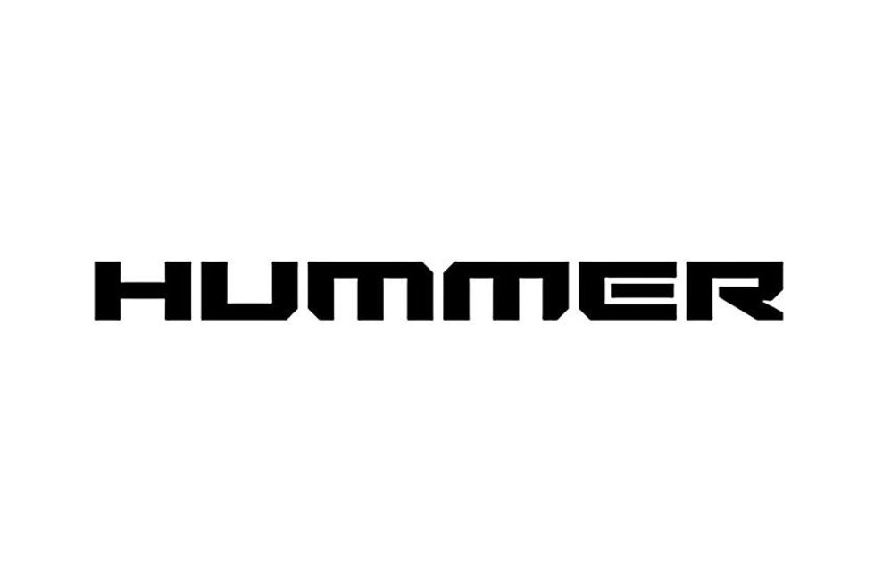Hummer foto 2