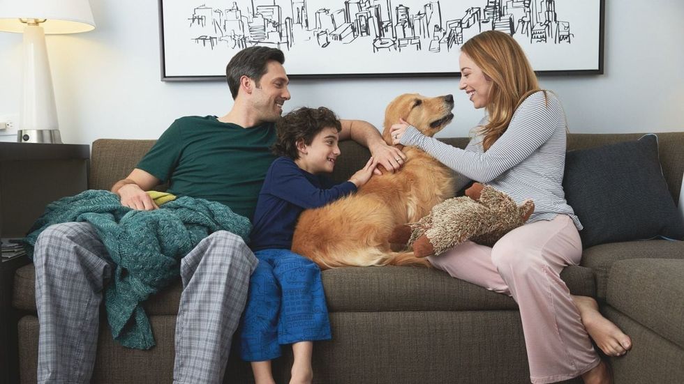 Hyatt House P159 Family with Dog..adapt .1280.720