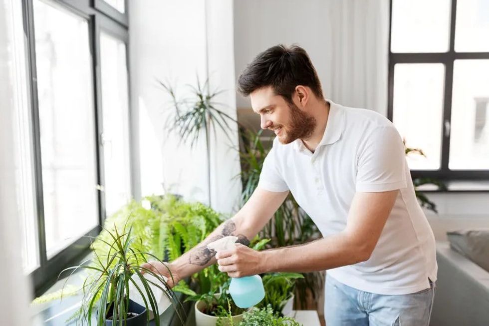 hydrogen peroxide for plants man spraying houseplants