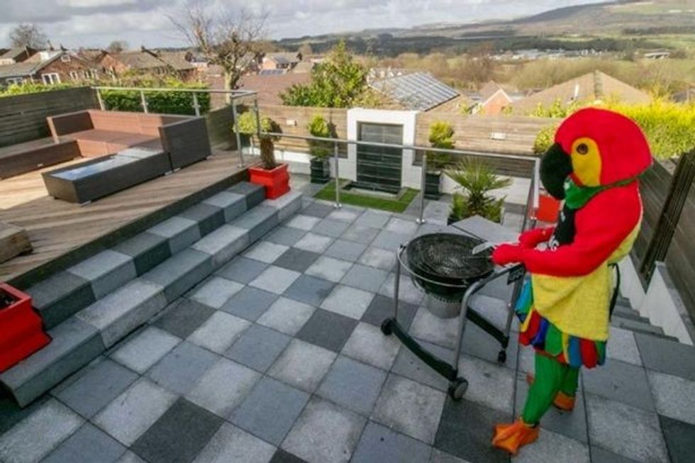 I veshur si papagall reklamon shtepine qe e ka nxjerre ne shitje foto 2