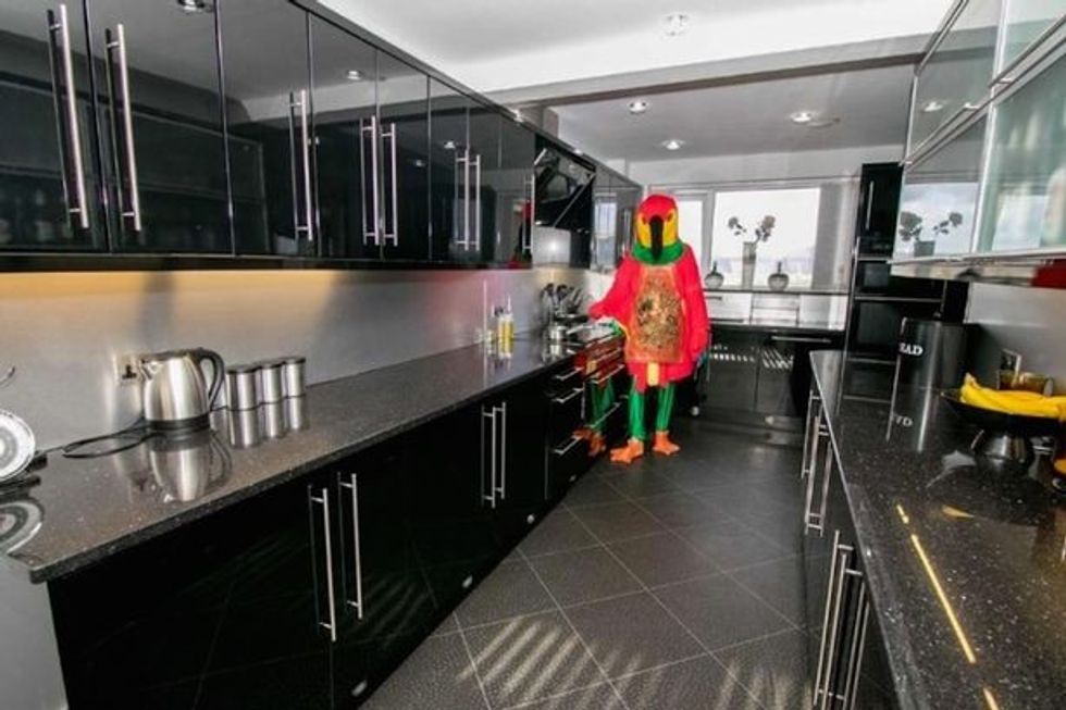 I veshur si papagall reklamon shtepine qe e ka nxjerre ne shitje foto 5