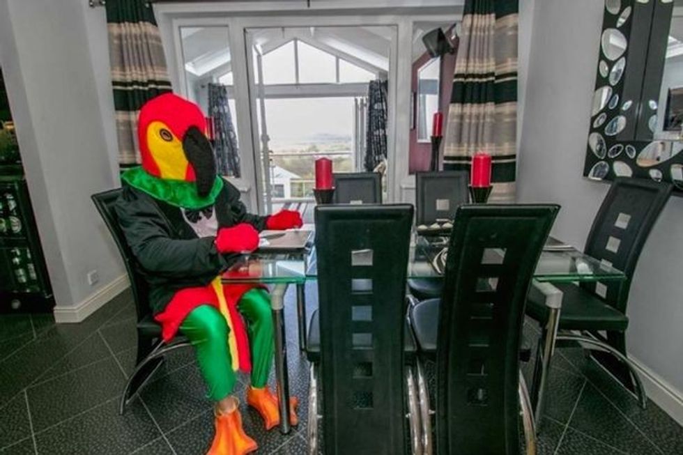 I veshur si papagall reklamon shtepine qe e ka nxjerre ne shitje foto 6