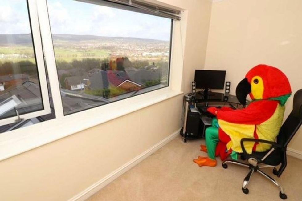 I veshur si papagall reklamon shtepine qe e ka nxjerre ne shitje foto 8