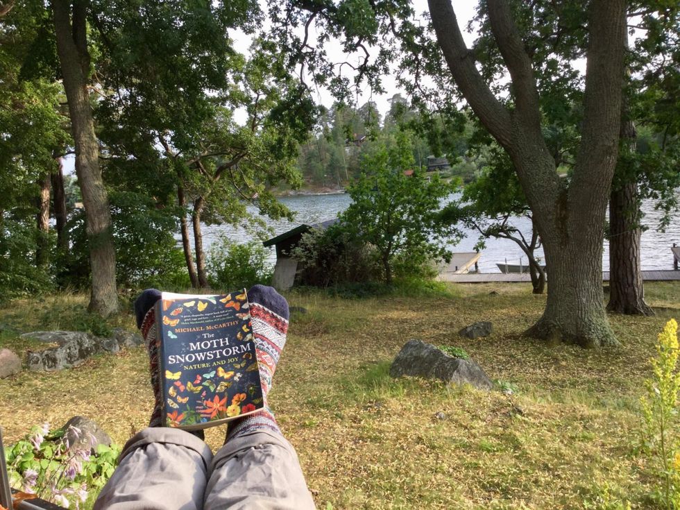 ideasislandaesthetic