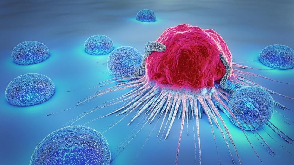 illustration of cancer cell surrounded by lymphocytes