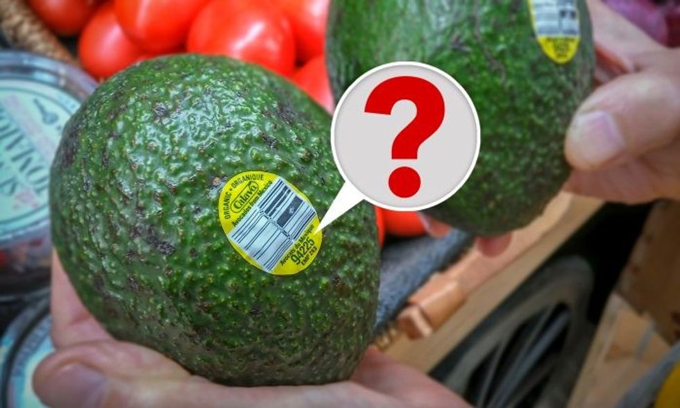 Illustration Shutterstock 1