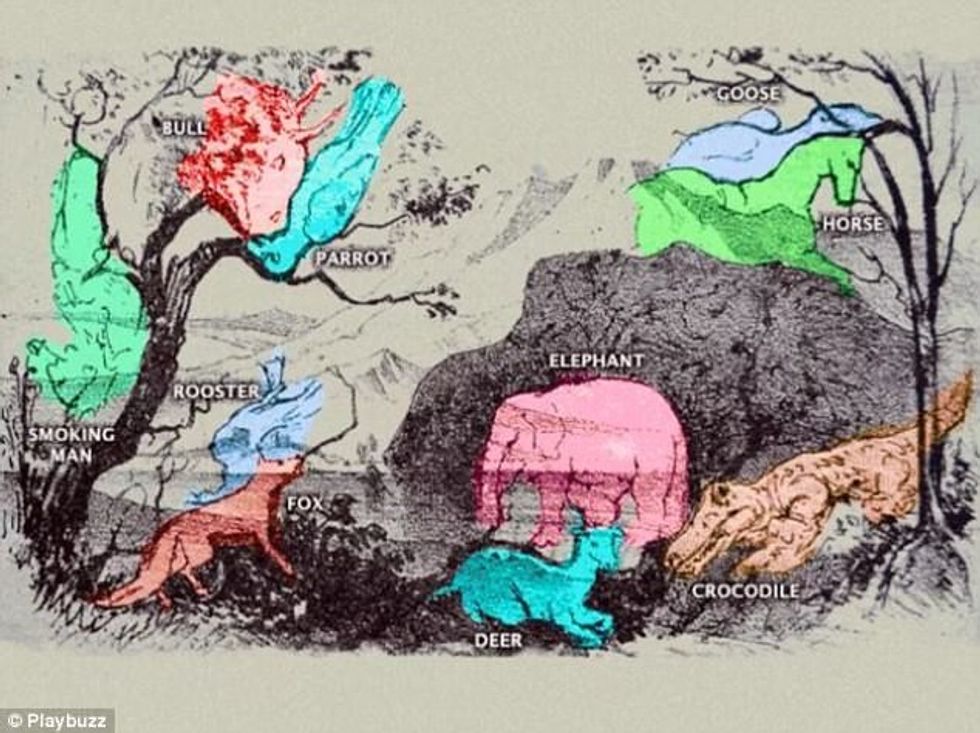 Ilustrimi enigmatik fshehë nëntë kafshë dhe një burrë duke tymosur foto 3