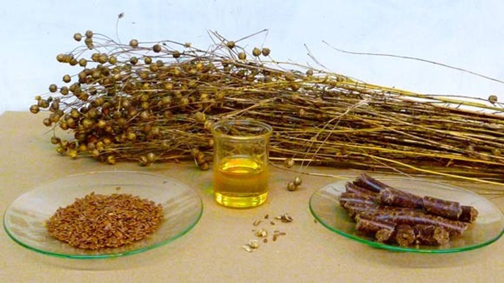 image 10644 Flaxseed Oil
