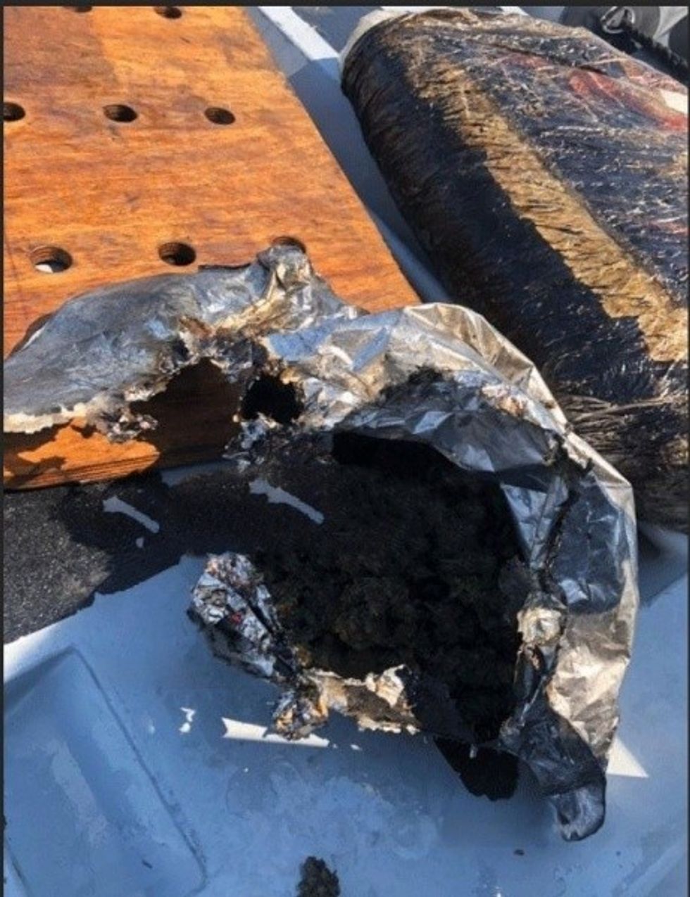 image 2023 08 15T234516.747