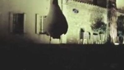 2016/01/f.0627144351928_m.jpg