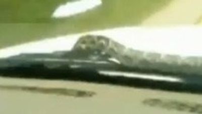 2016/01/f.0802112301134_m.jpg
