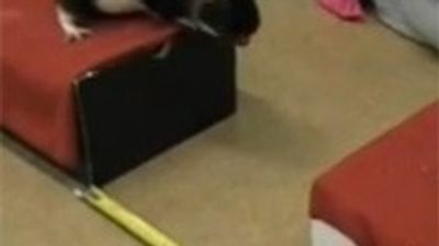2016/01/f.0317115339866_m.jpg
