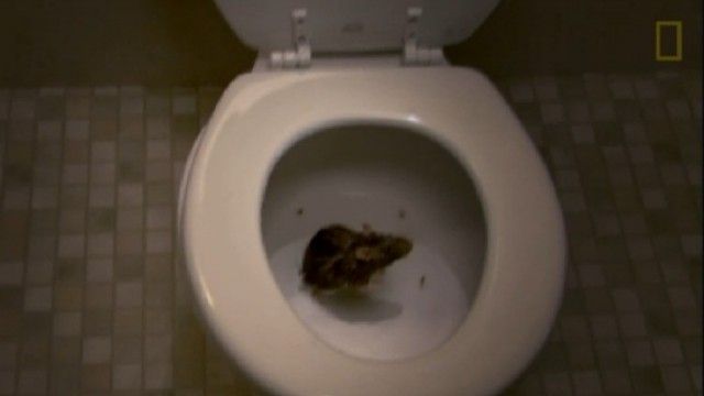 2016/01/kujdes-kur-uleni-n-euml-guask-euml-ndash-mund-t-euml-befasoheni-nga-minjt-euml-video_hd.jpg