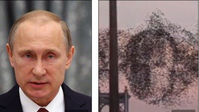 2016/01/ja-se-si-mij-euml-ra-zogj-n-euml-nju-jork-formojn-euml-fytyr-euml-n-e-vladimir-putin-foto-video_hd.jpg