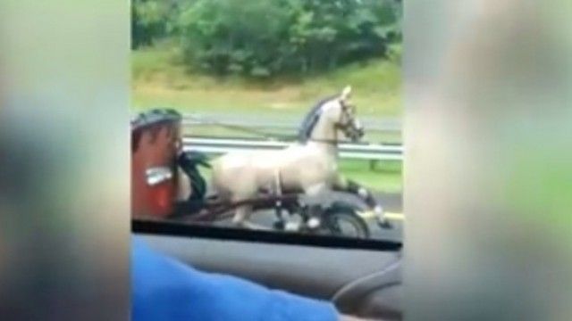 2016/01/nj-euml-ldquo-kal-euml-me-rrota-rdquo-n-euml-autostrad-euml-video_hd.jpg